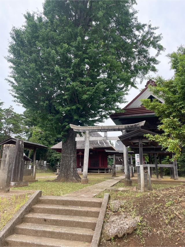 千葉県印西市角田1番地 熊野神社の写真1