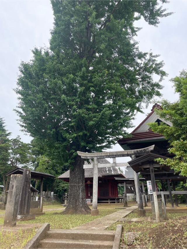 熊野神社の参拝記録2