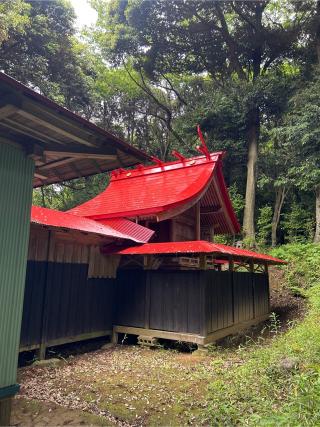 浅間神社の参拝記録(ねこチャリさん)