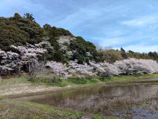 浅間神社の参拝記録(タクさん)