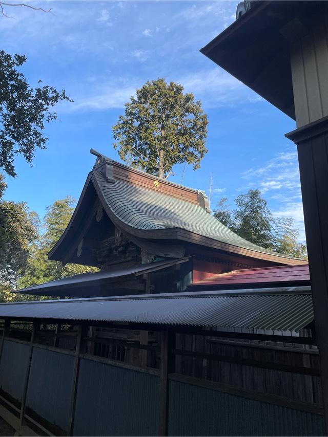 千葉県印旛郡栄町酒直585番地 素羽鷹神社の写真3