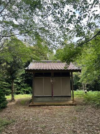 浅間神社の参拝記録(ねこチャリさん)