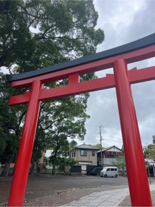 玉前神社の参拝記録(⛩️🐍🐢まめ🐢🐍⛩️さん)