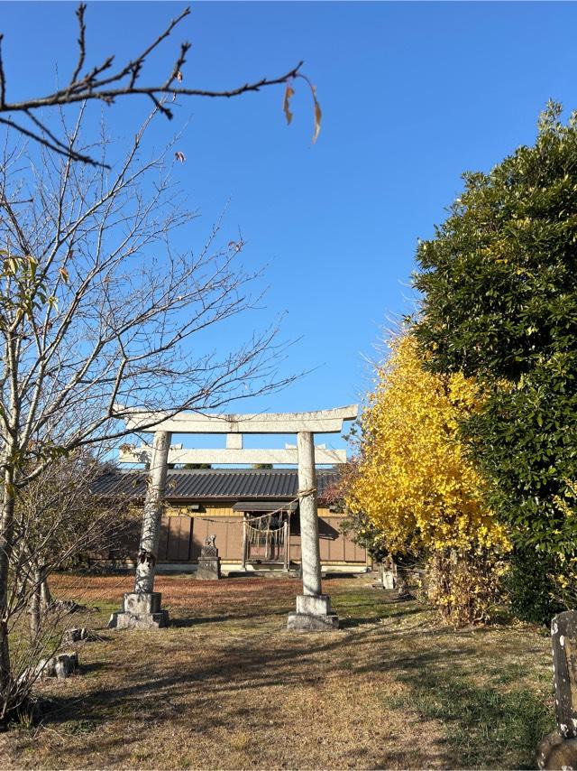 千葉県長生郡長生村丁1992番地 熊野神社の写真1