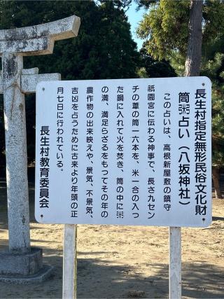 八坂神社の参拝記録(ねこチャリさん)