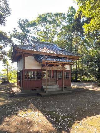 八幡神社の参拝記録(ねこチャリさん)