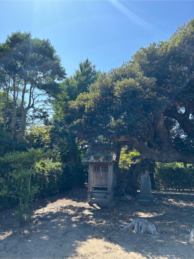 八坂神社の参拝記録1