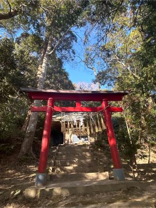 大宮神社の参拝記録(ねこチャリさん)