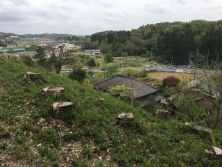 八坂神社の参拝記録(明介さん)