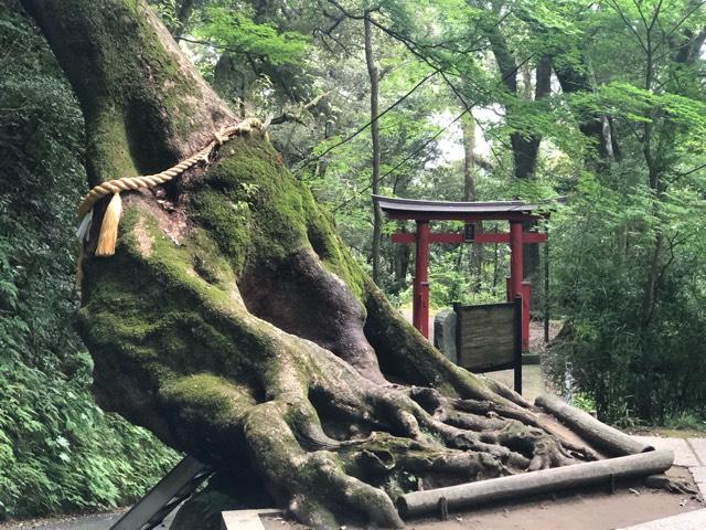 笠森熊野神社の参拝記録4