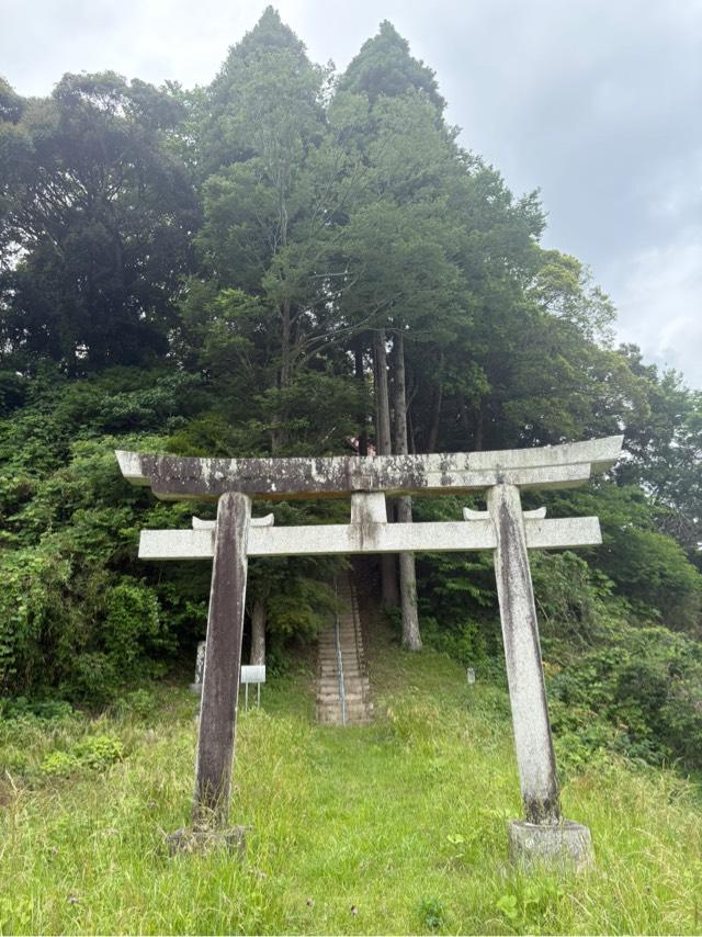 大宮神社の写真1