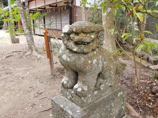 豊栄神社の参拝記録(飛成さん)