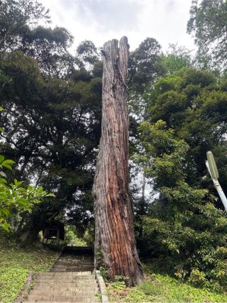 熊野神社の参拝記録(ねこチャリさん)