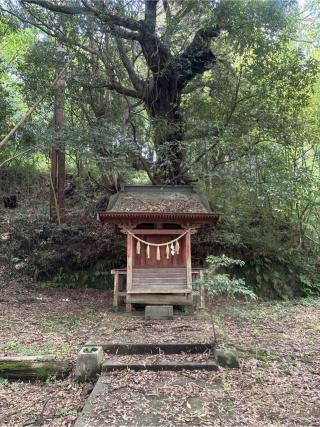 鹿島神社の参拝記録(ねこチャリさん)