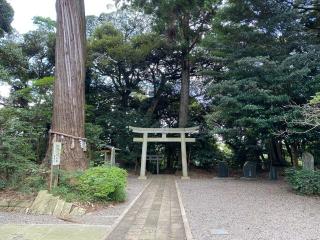 縣神社の参拝記録(明介さん)