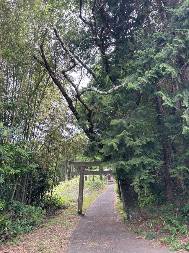 板川神社の参拝記録1
