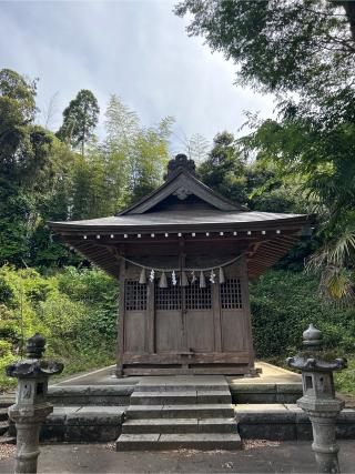 板川神社の参拝記録(ねこチャリさん)