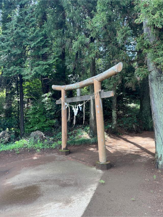 千葉県山武市戸田1579番地 稲荷神社の写真1