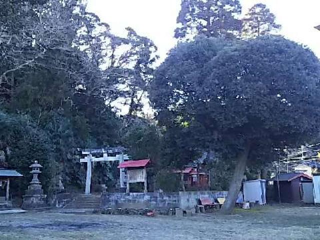 千葉県山武市松尾町松尾542-1 末廣神社の写真1