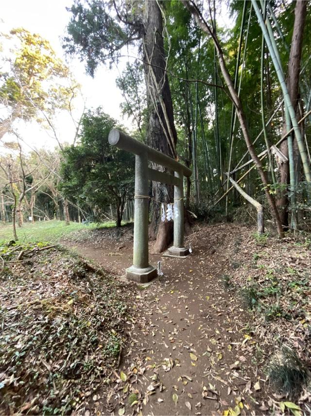 千葉県山武郡芝山町上吹入353番地 相馬高神社の写真1