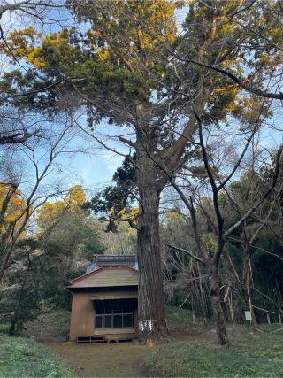 相馬高神社の参拝記録(ねこチャリさん)