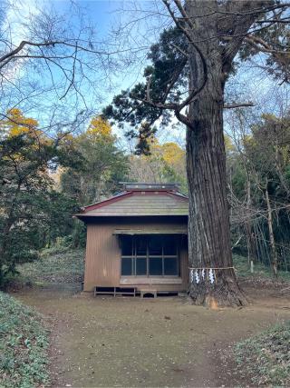 相馬高神社の参拝記録(ねこチャリさん)