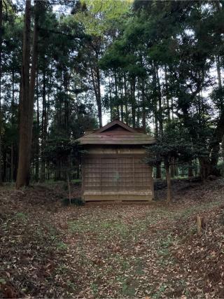 日吉神社の参拝記録(ねこチャリさん)