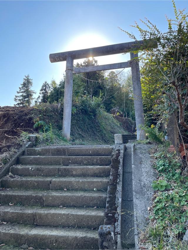 千葉県山武郡芝山町大里2444番地 菊理神社の写真1