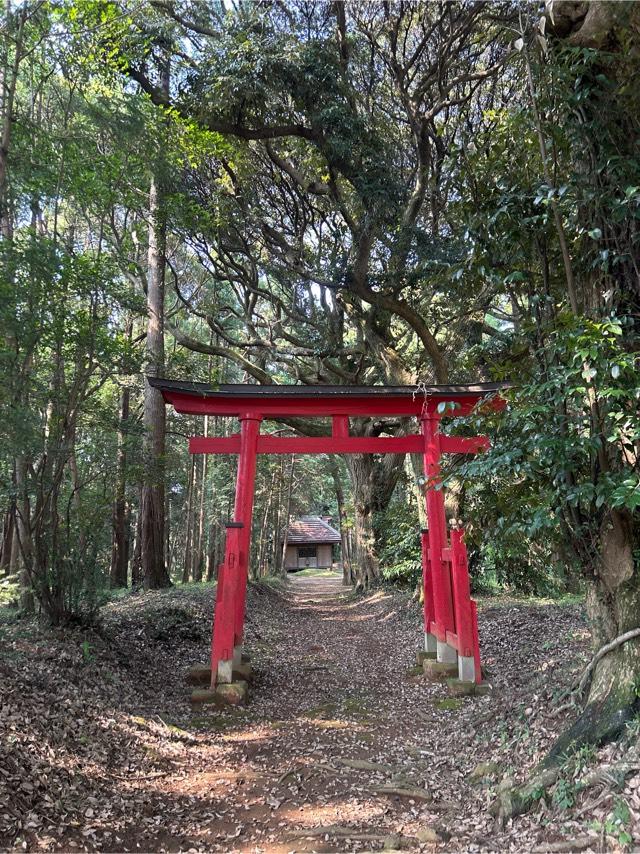 宇迦大神の参拝記録1
