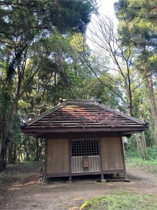 宇迦大神の参拝記録(ねこチャリさん)