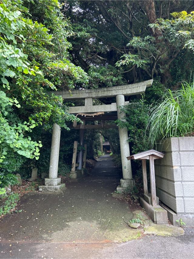 須崎神社の写真1