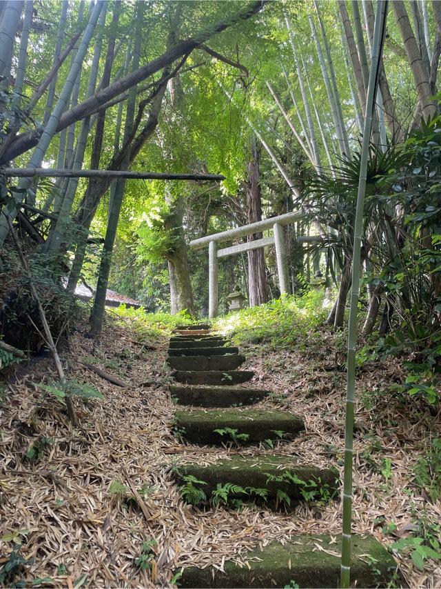 千葉県成田市中野95番地 星宮神社の写真1