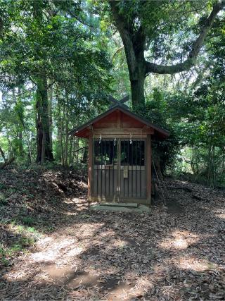宇迦神社（稲荷神社）の参拝記録(ねこチャリさん)
