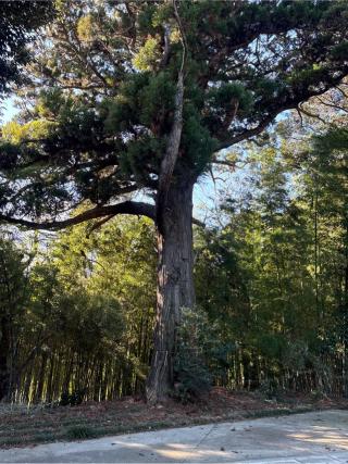 熊野大神の参拝記録(ねこチャリさん)