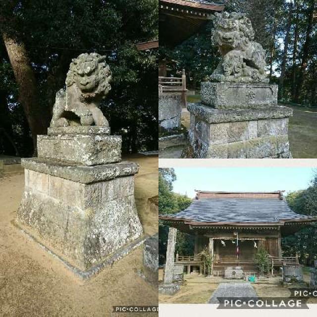 千葉県香取市貝塚117-1 豊玉姫神社の写真1