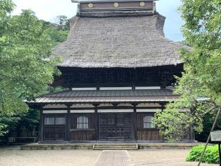 海雲山 長勝寺の参拝記録( 真弓さん)