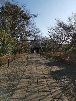 海雲山 長勝寺の参拝記録(たこさん)