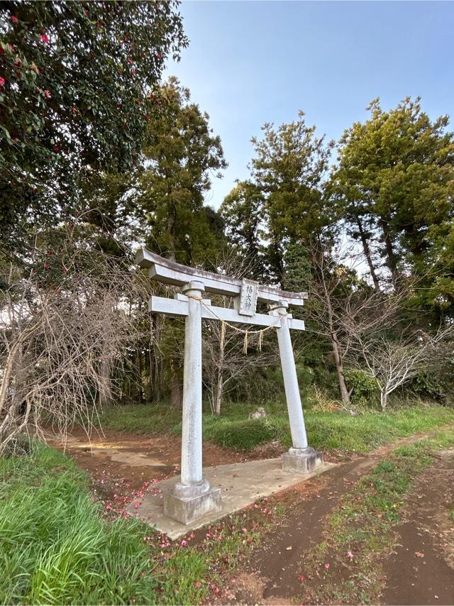 千葉県香取郡多古町南玉造2081番地 椿神社の写真1