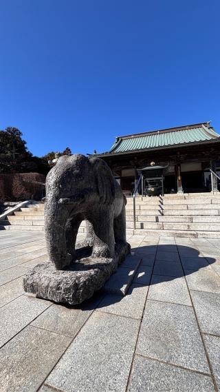 大聖寺（土浦大師）の参拝記録(kenkenさん)