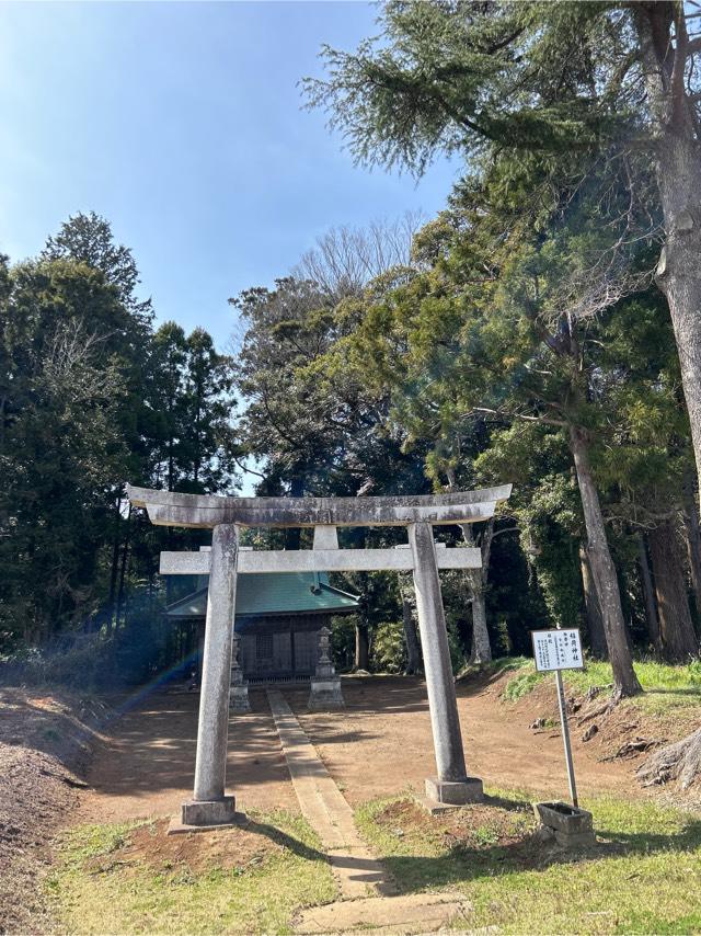 千葉県香取郡多古町谷三倉726番地 稲荷神社の写真1