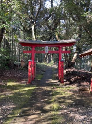 日枝大神の参拝記録(ねこチャリさん)