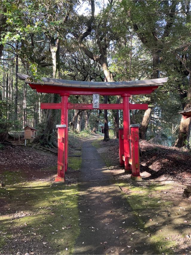 千葉県香取郡多古町井戸山1096番地 日枝大神の写真3