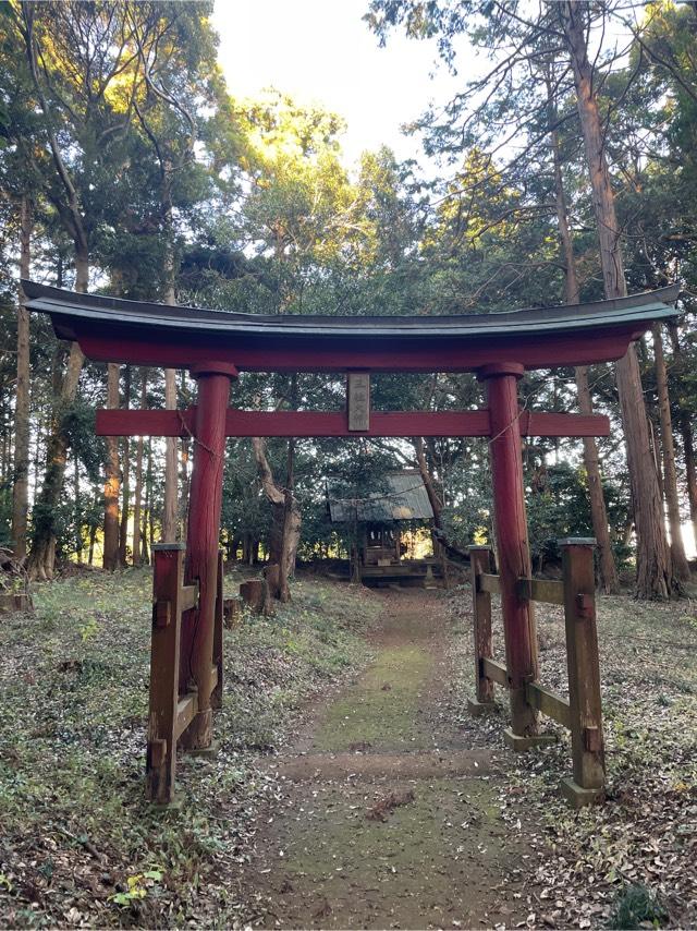 千葉県香取郡多古町水戸1297番地 三社神社の写真1
