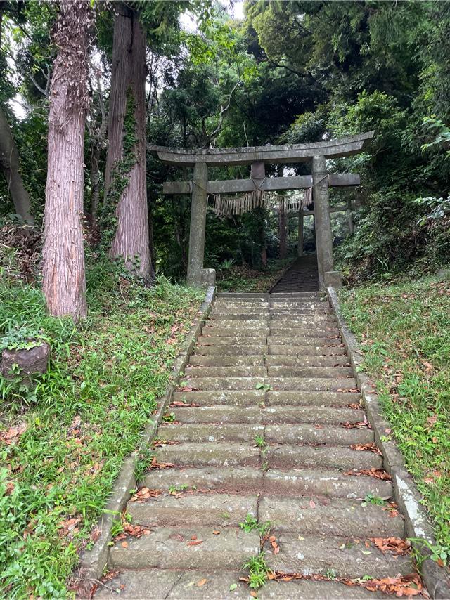 千葉県香取郡多古町牛尾238番地 白幡大神の写真1