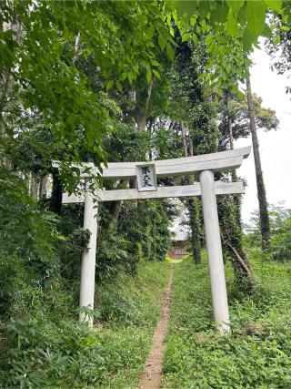 皇産靈大神の参拝記録(ねこチャリさん)