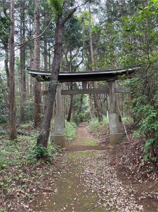 丸山神社の参拝記録(ねこチャリさん)