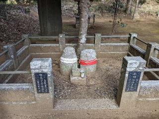 熊野神社の参拝記録(はしどいさん)