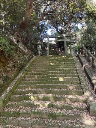 左右神社の参拝記録(ねこチャリさん)