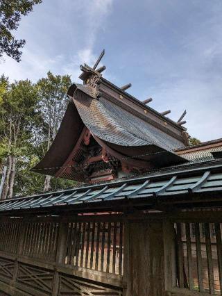 諏訪大神の参拝記録(はしどいさん)