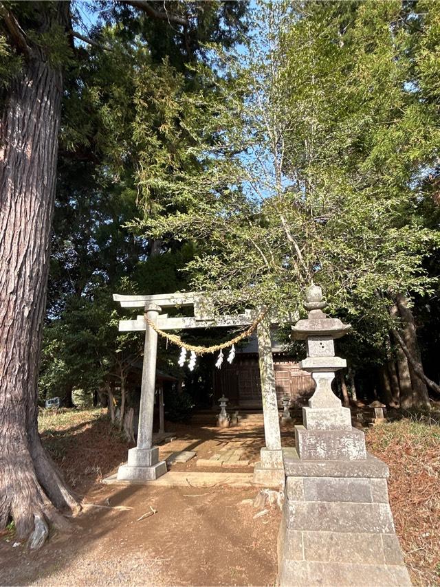 千葉県匝瑳市小高171番地 諏訪神社の写真1